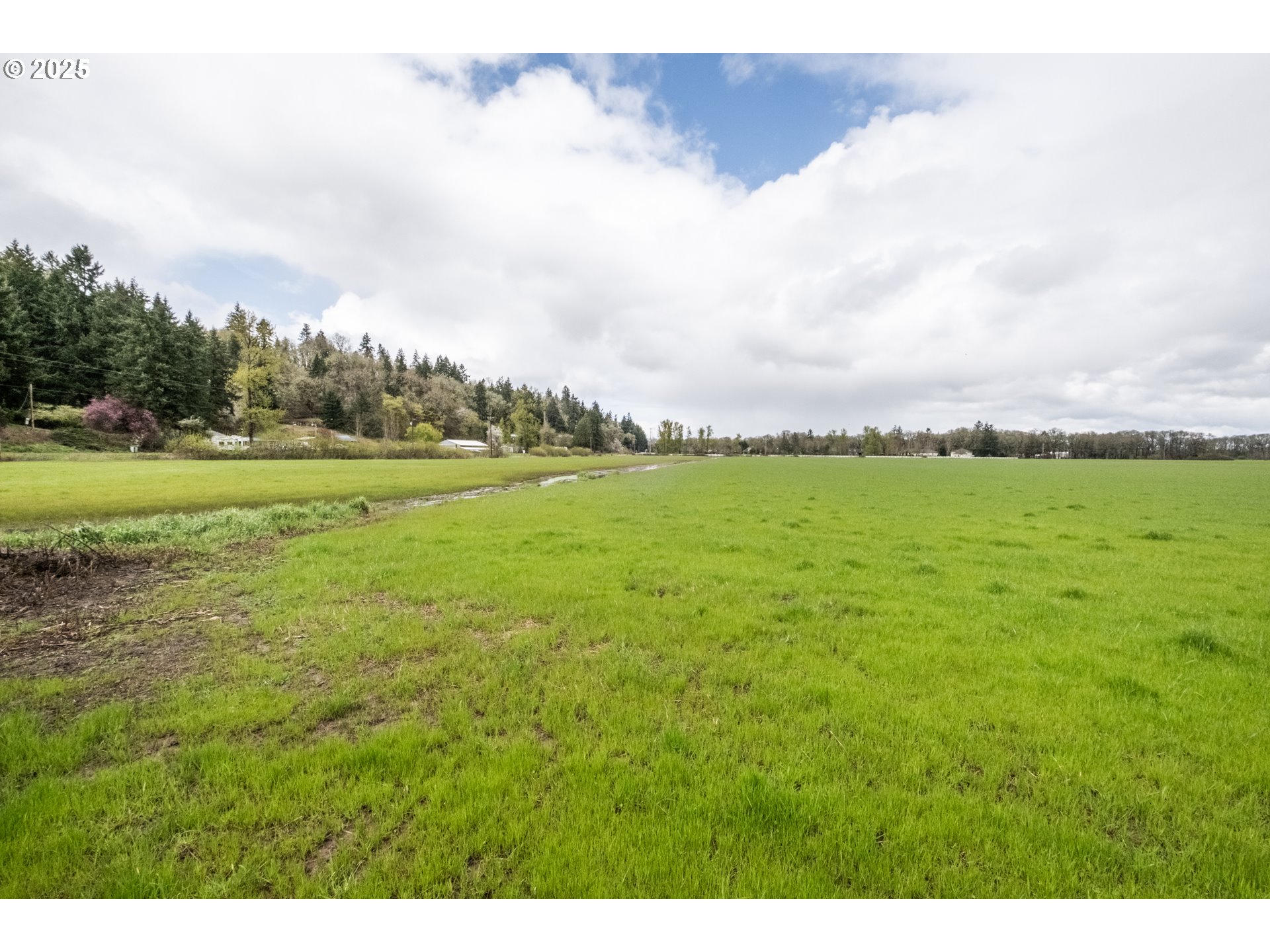 92884 Applegate Trail Junction City, OR 97448 - Photo 28 of 28