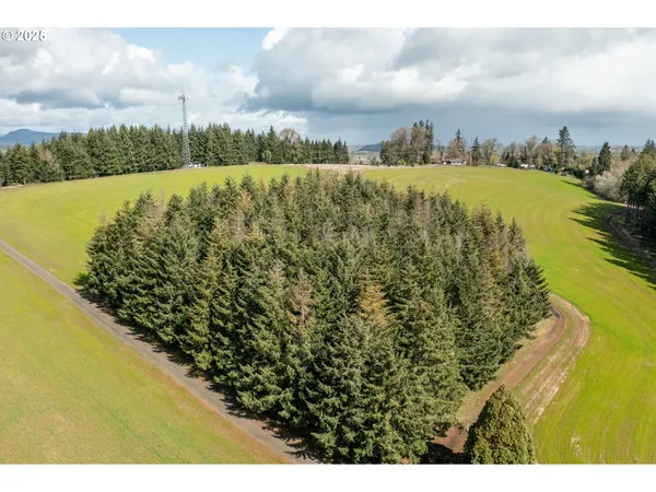 $903,000 | 92884 Applegate Trail, Junction City, OR 97448
