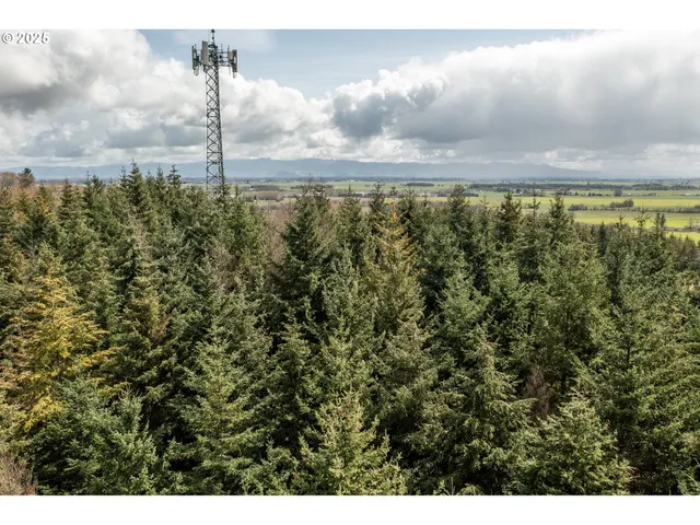 $903,000 | 92884 Applegate Trail, Junction City, OR 97448