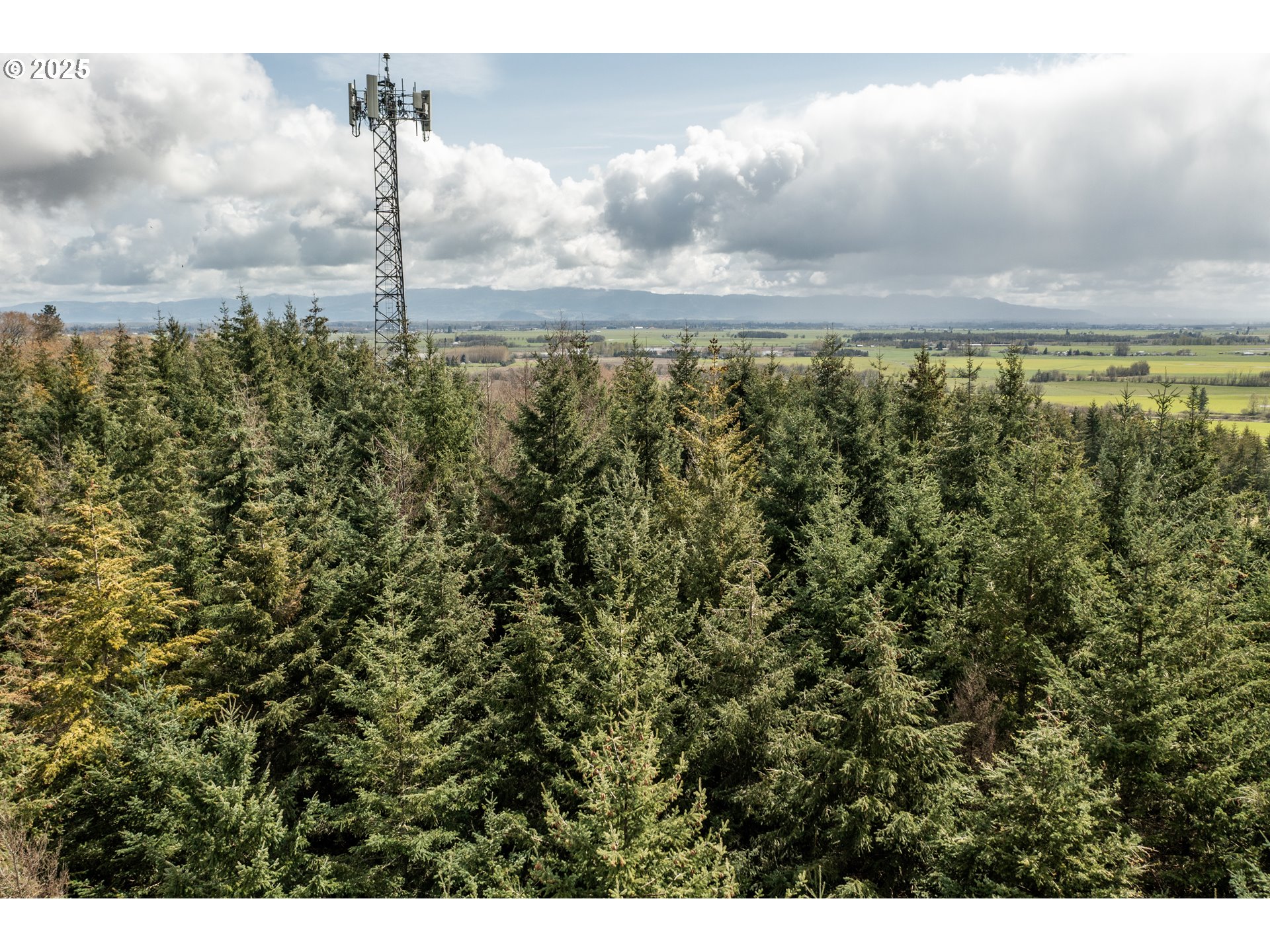 92884 Applegate Trail Junction City, OR 97448 - Photo 7 of 28