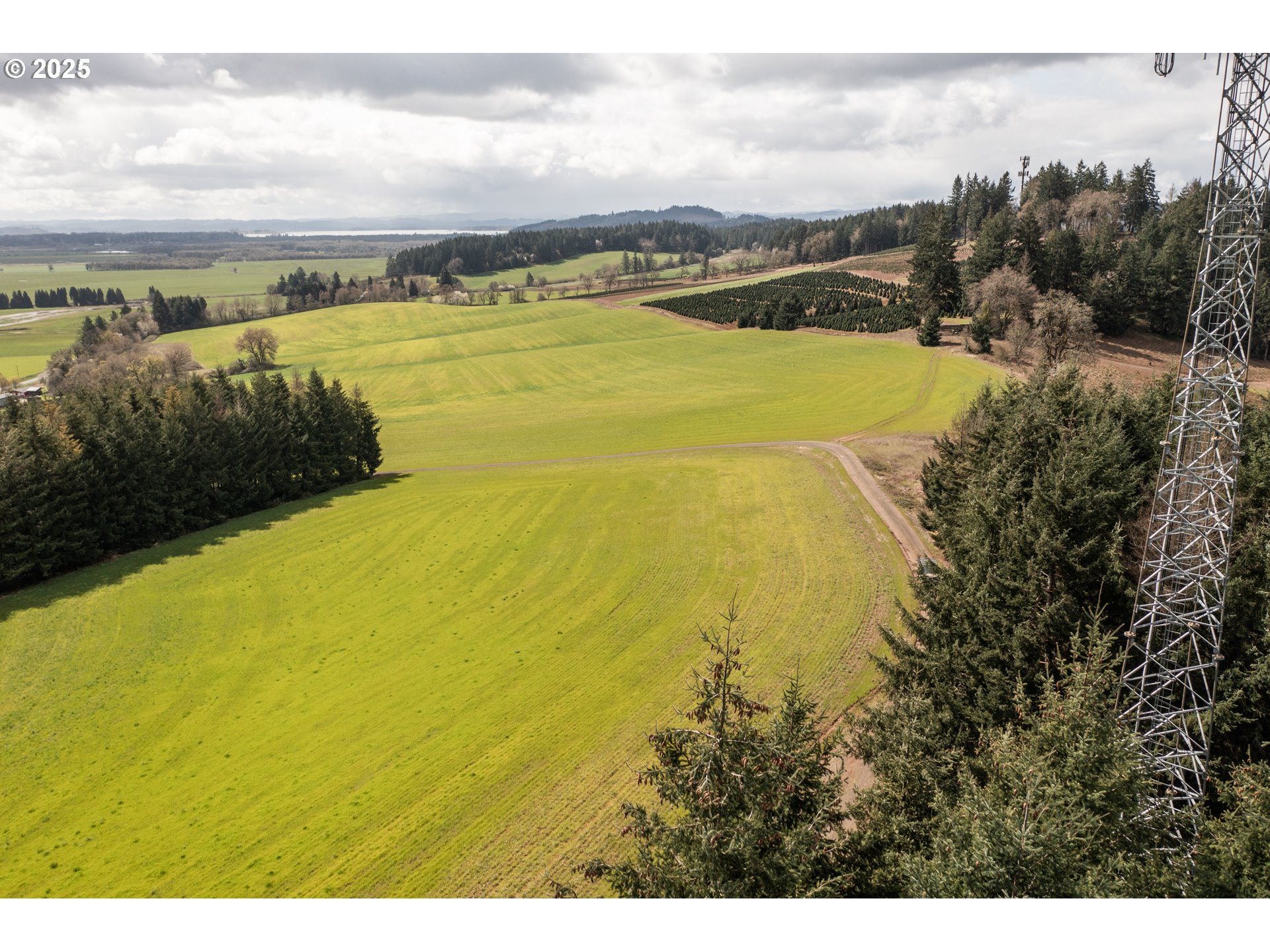 92884 Applegate Trail Junction City, OR 97448 - Photo 8 of 28