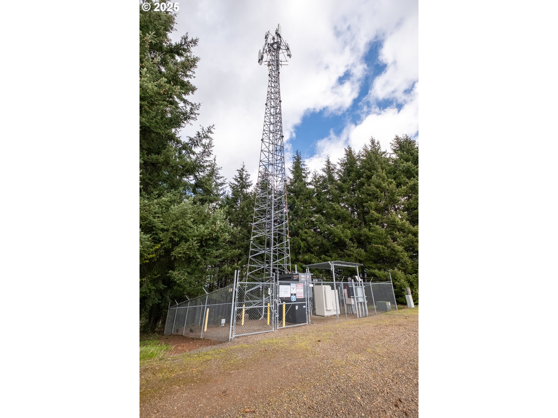 92884 Applegate Trail Junction City, OR 97448 - Photo 9 of 28