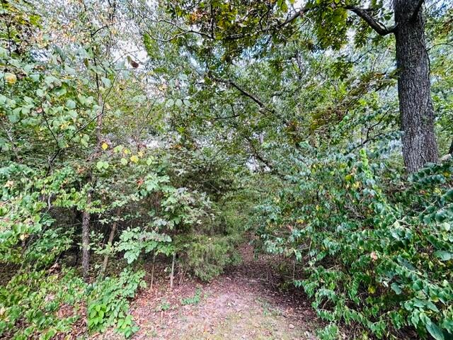 6082 O'Keefe Ridge Road Williamsburg, MO 63388 - Photo 17 of 30 Gallery Image 17