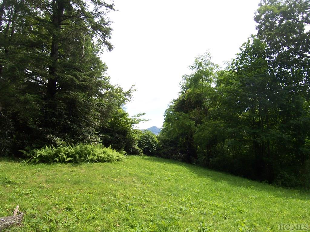 Lot 29 Ravenel Ridge Road Highlands, NC 28741 - Photo 2 of 2 Gallery Image 2