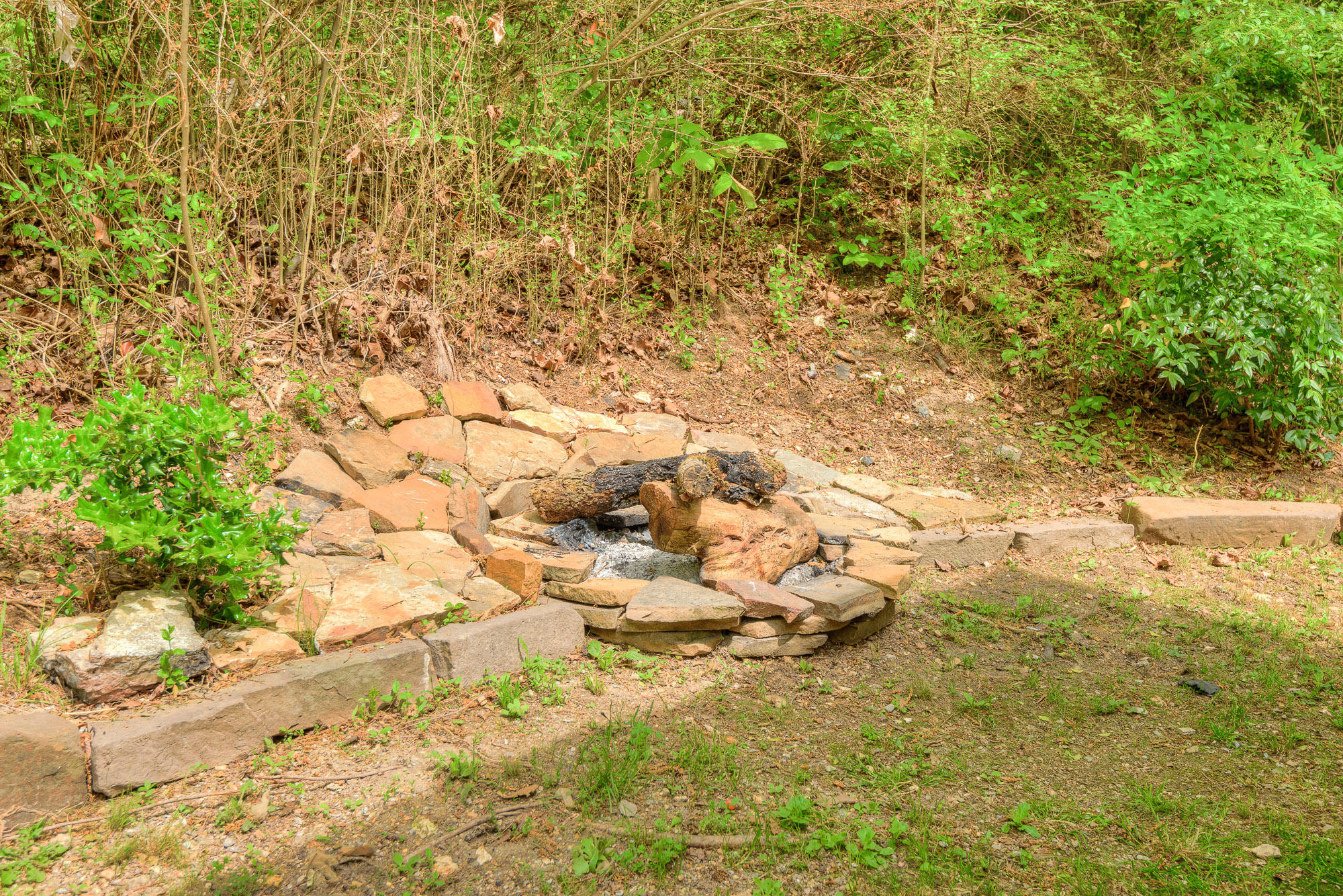 106 Tatum Road Chattanooga, TN 37421 - Photo 7 of 8 Back Yard