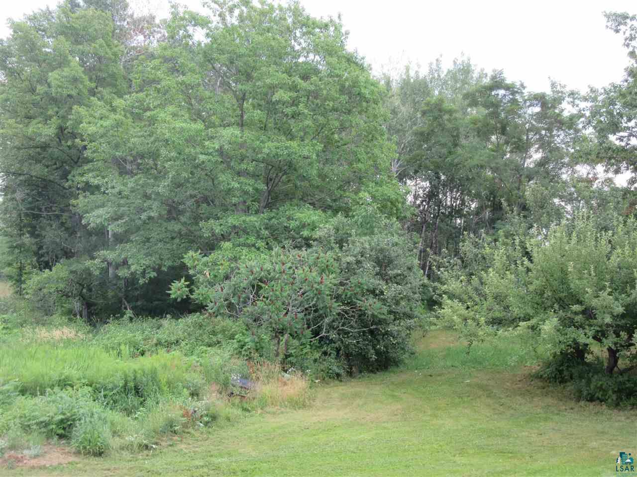 93790 Hyde Road Bayfield, WI 54814 - Photo 14 of 45 private wooded lot