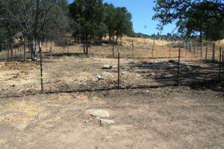 31465 Sycamore Road Tollhouse, CA 93667 - Photo 2 of 11 Gallery Image 2