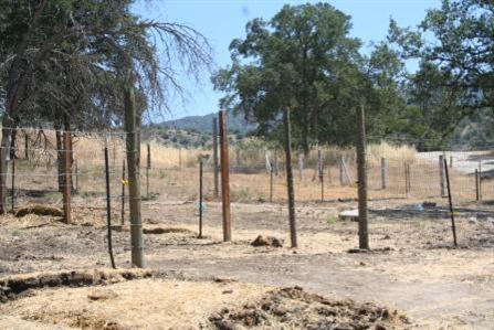 31465 Sycamore Road Tollhouse, CA 93667 - Photo 11 of 11 Gallery Image 11