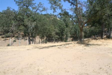 31465 Sycamore Road Tollhouse, CA 93667 - Photo 5 of 11 Gallery Image 5