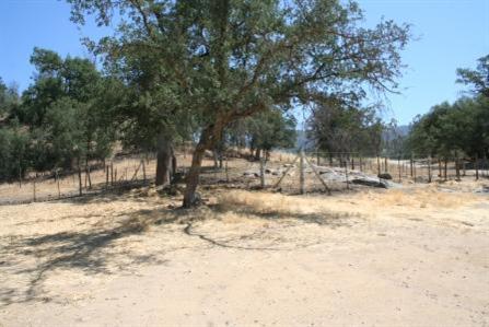 31465 Sycamore Road Tollhouse, CA 93667 - Photo 6 of 11 Gallery Image 6