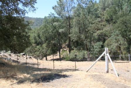 31465 Sycamore Road Tollhouse, CA 93667 - Photo 8 of 11 Gallery Image 8