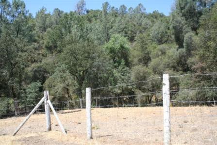 31465 Sycamore Road Tollhouse, CA 93667 - Photo 9 of 11 Gallery Image 9