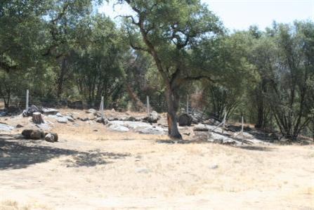 31465 Sycamore Road Tollhouse, CA 93667 - Photo 10 of 11 Gallery Image 10