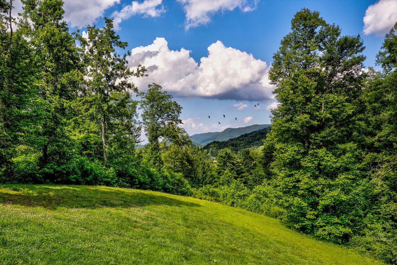 654 Red Cut Road Pioneer, TN 37847 - Photo 35 of 40 654 Red Cut Rd-37_preview