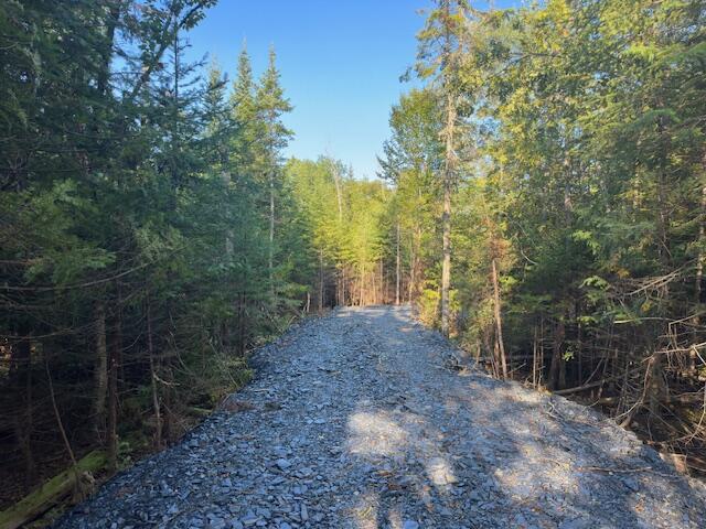Lot 1 Lily Bay Road Greenville, ME 04441 - Photo 4 of 9 l7