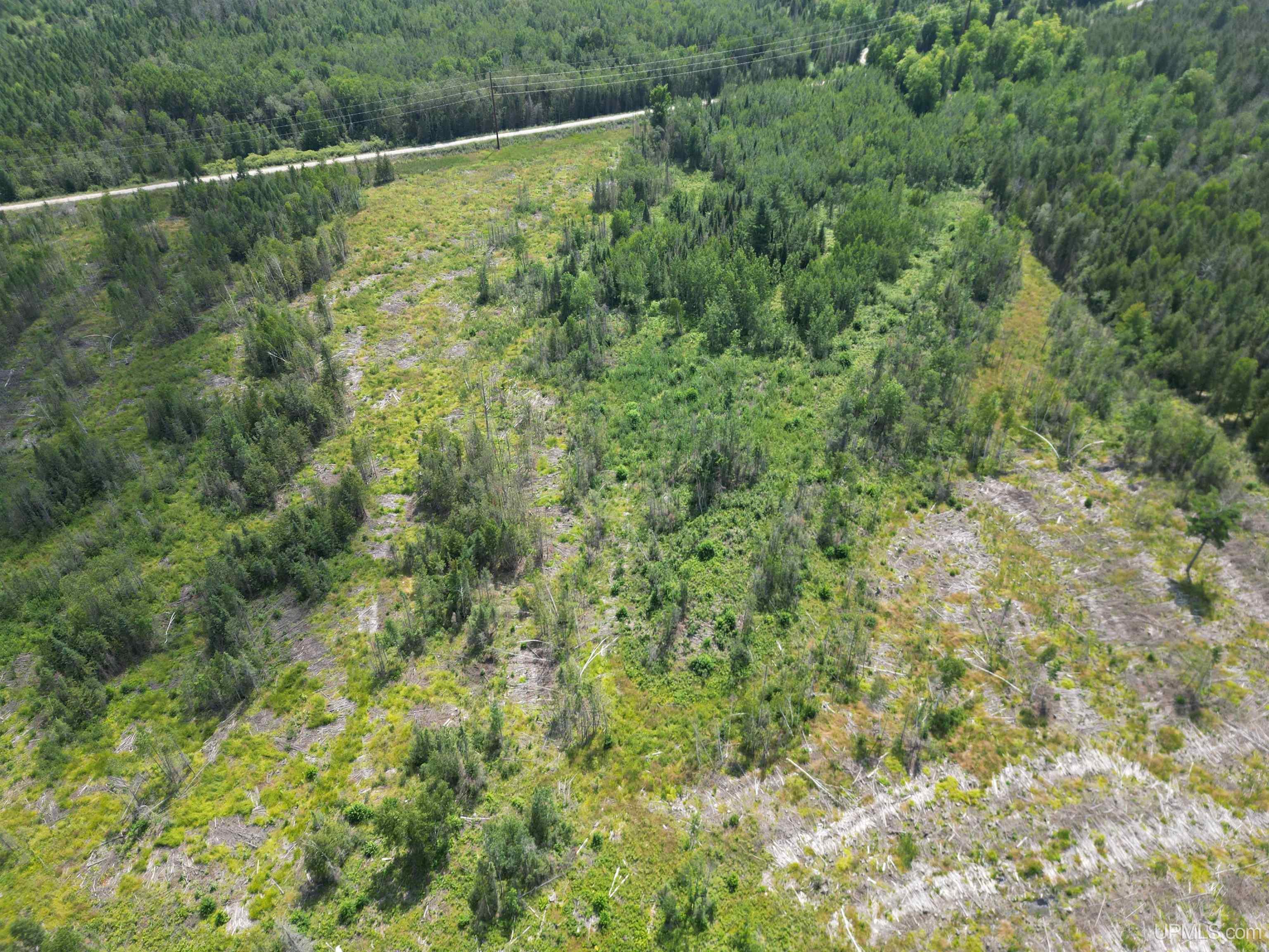 Tbd Cr 400 Road, Unit 23 Perronville, MI 49873 - Photo 3 of 19