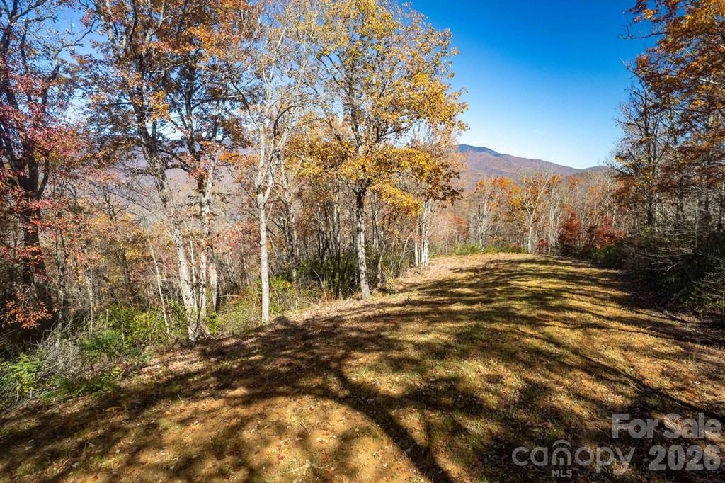 700 Copperhead Cove Road Sylva, NC 28779 - Photo 16 of 23