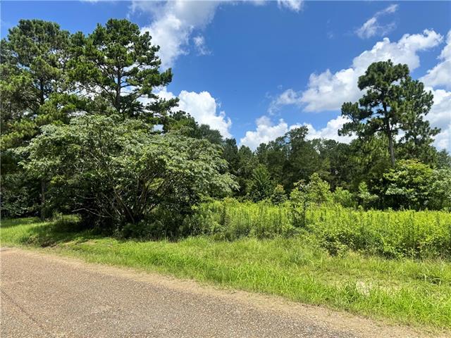 72045 South Lewiston Road Kentwood, LA 70444 - Photo 8 of 17