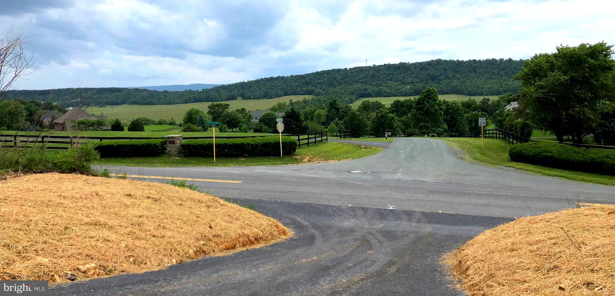 Apple Pie Ridge Winchester, VA 22603 - Photo 2 of 13 Driveway directly across from Butler Estates