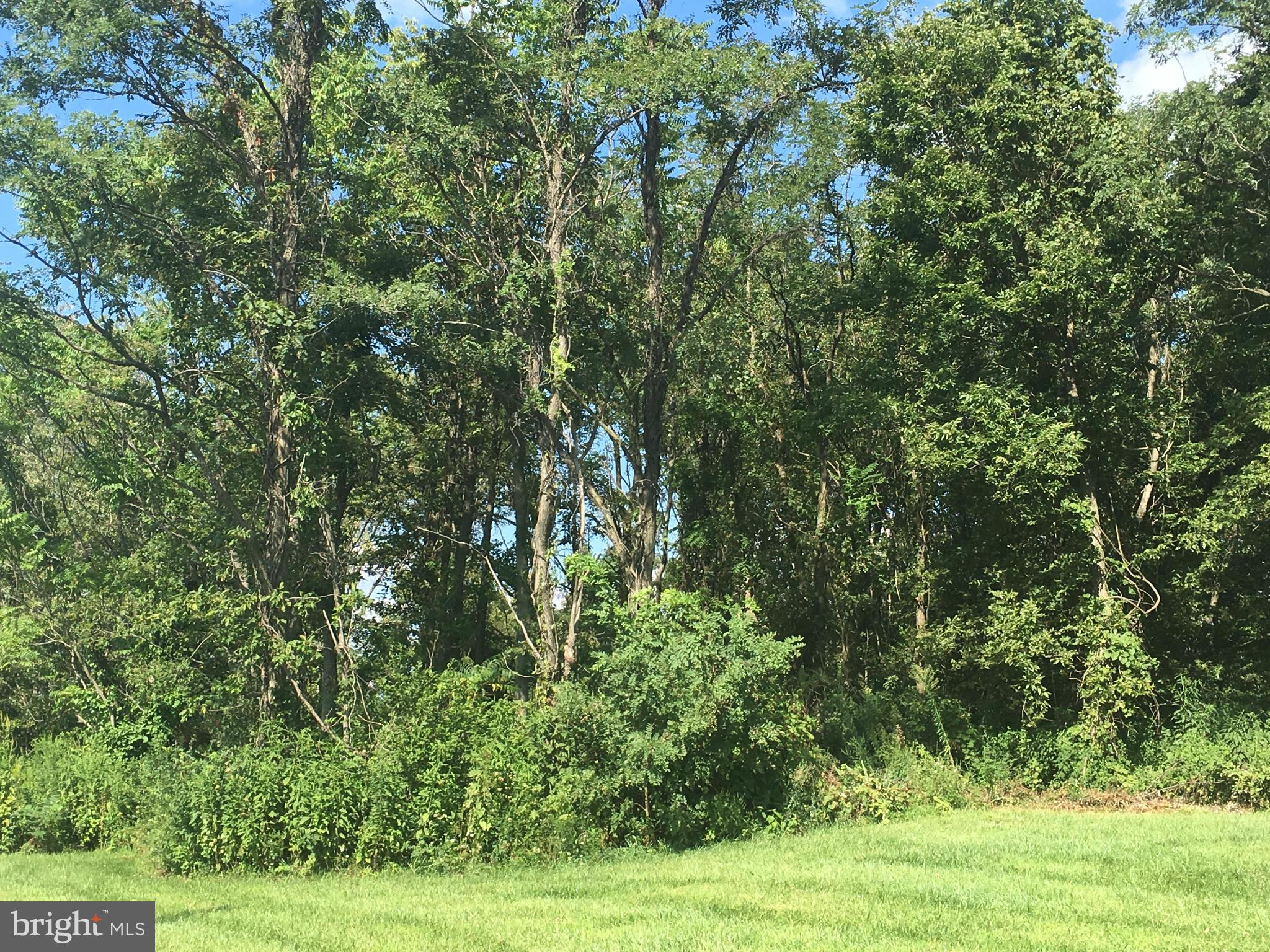 Apple Pie Ridge Winchester, VA 22603 - Photo 12 of 13 Exterior (General)