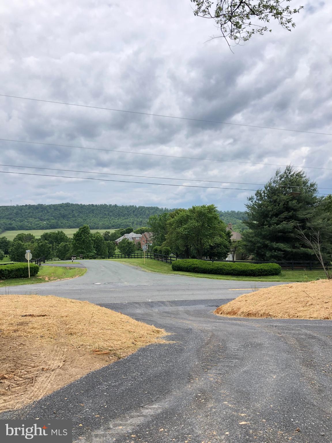 Apple Pie Ridge Winchester, VA 22603 - Photo 13 of 13 Driveway has been cut into the lot