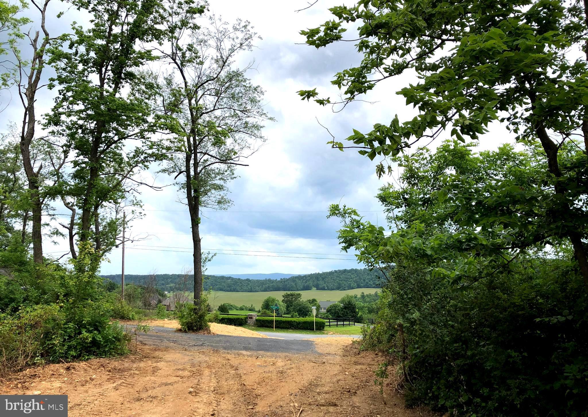 Apple Pie Ridge Winchester, VA 22603 - Photo 4 of 13 Lot is wooded, but could be opened up