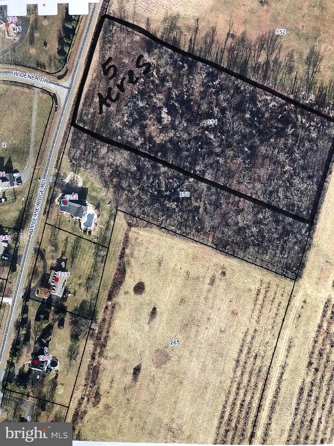 Apple Pie Ridge Winchester, VA 22603 - Photo 6 of 13