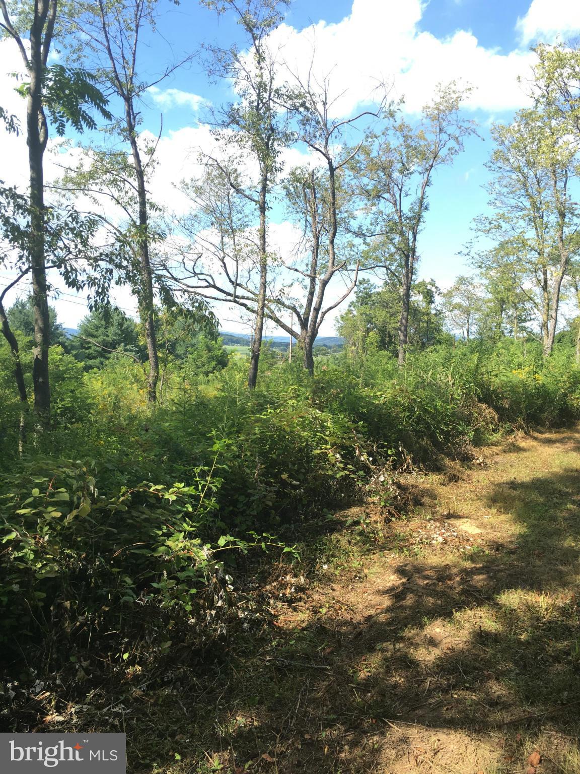 Apple Pie Ridge Winchester, VA 22603 - Photo 8 of 13 Exterior (General)