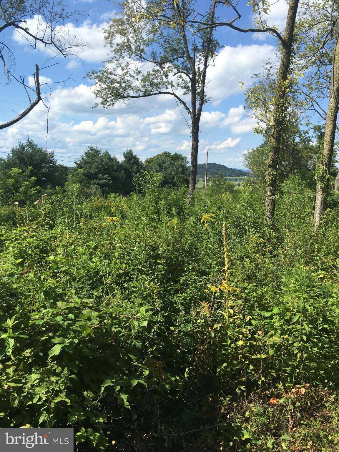 Apple Pie Ridge Winchester, VA 22603 - Photo 9 of 13 Exterior (General)