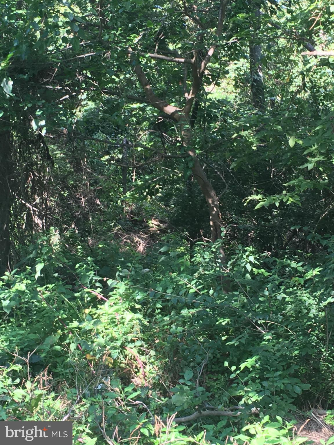 Apple Pie Ridge Winchester, VA 22603 - Photo 10 of 13 Exterior (General)