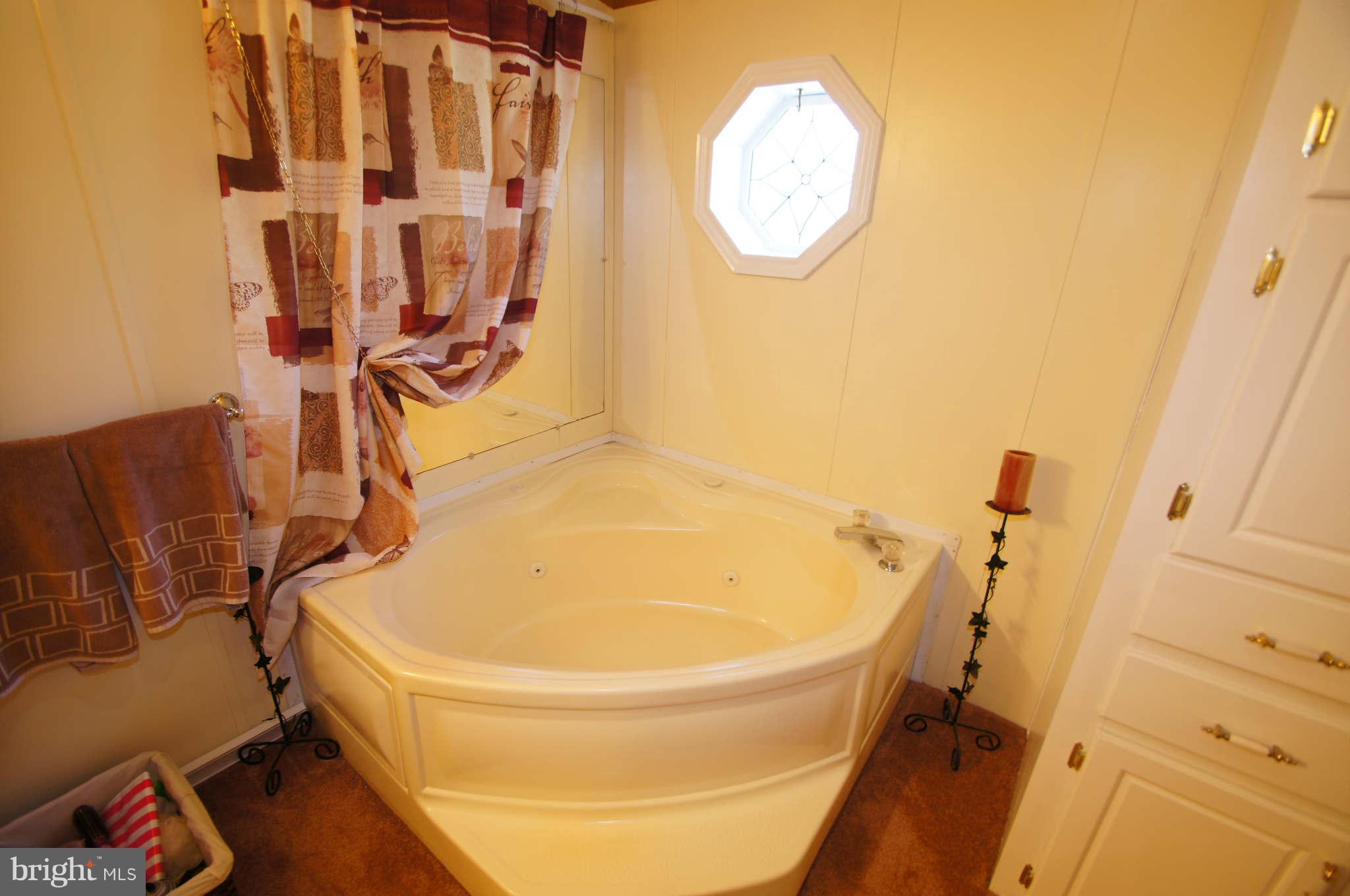 2217 Allibone Road Bel Air, MD 21015 - Photo 13 of 30 Bath (Master)
