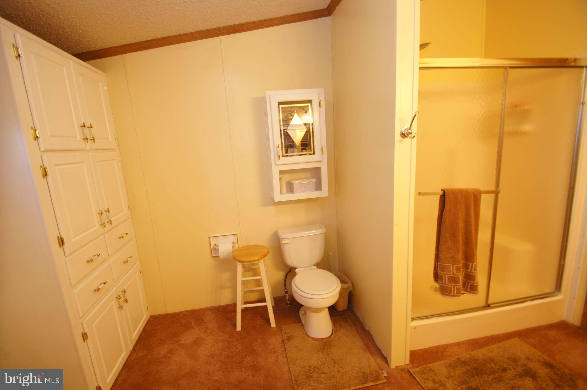 2217 Allibone Road Bel Air, MD 21015 - Photo 14 of 30 Bath (Master)