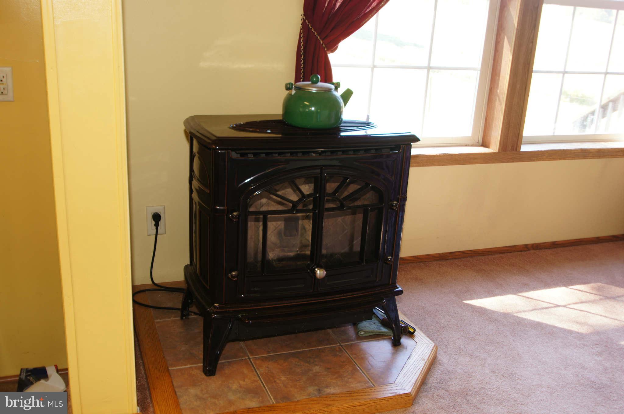 2217 Allibone Road Bel Air, MD 21015 - Photo 23 of 30 Pellet Stove