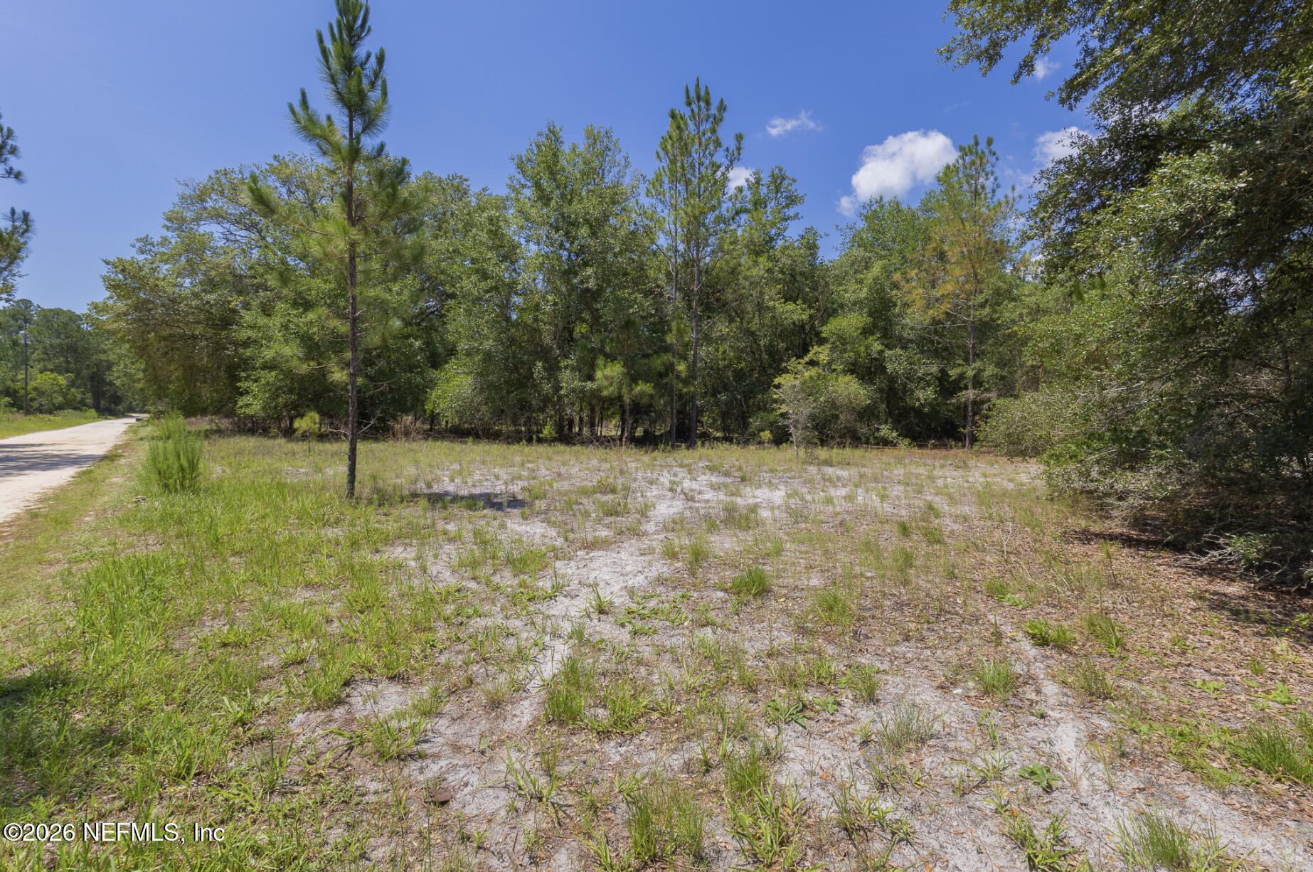 133 Landvale Street Georgetown, FL 32139 - Photo 8 of 8 Landvale #8