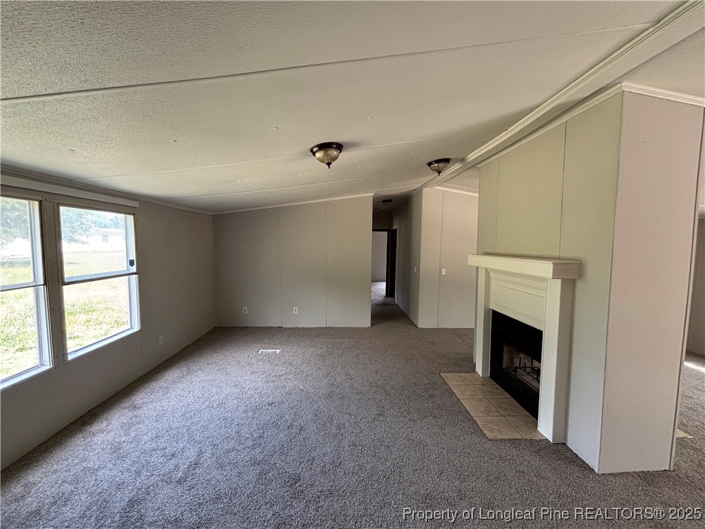 4738 Hickory Ridge Road Parkton, NC 28371 - Photo 2 of 14 Gallery Image 2