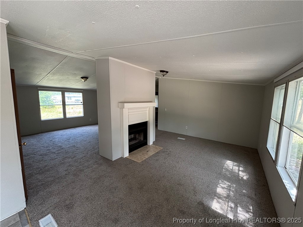 4738 Hickory Ridge Road Parkton, NC 28371 - Photo 3 of 14 Gallery Image 3