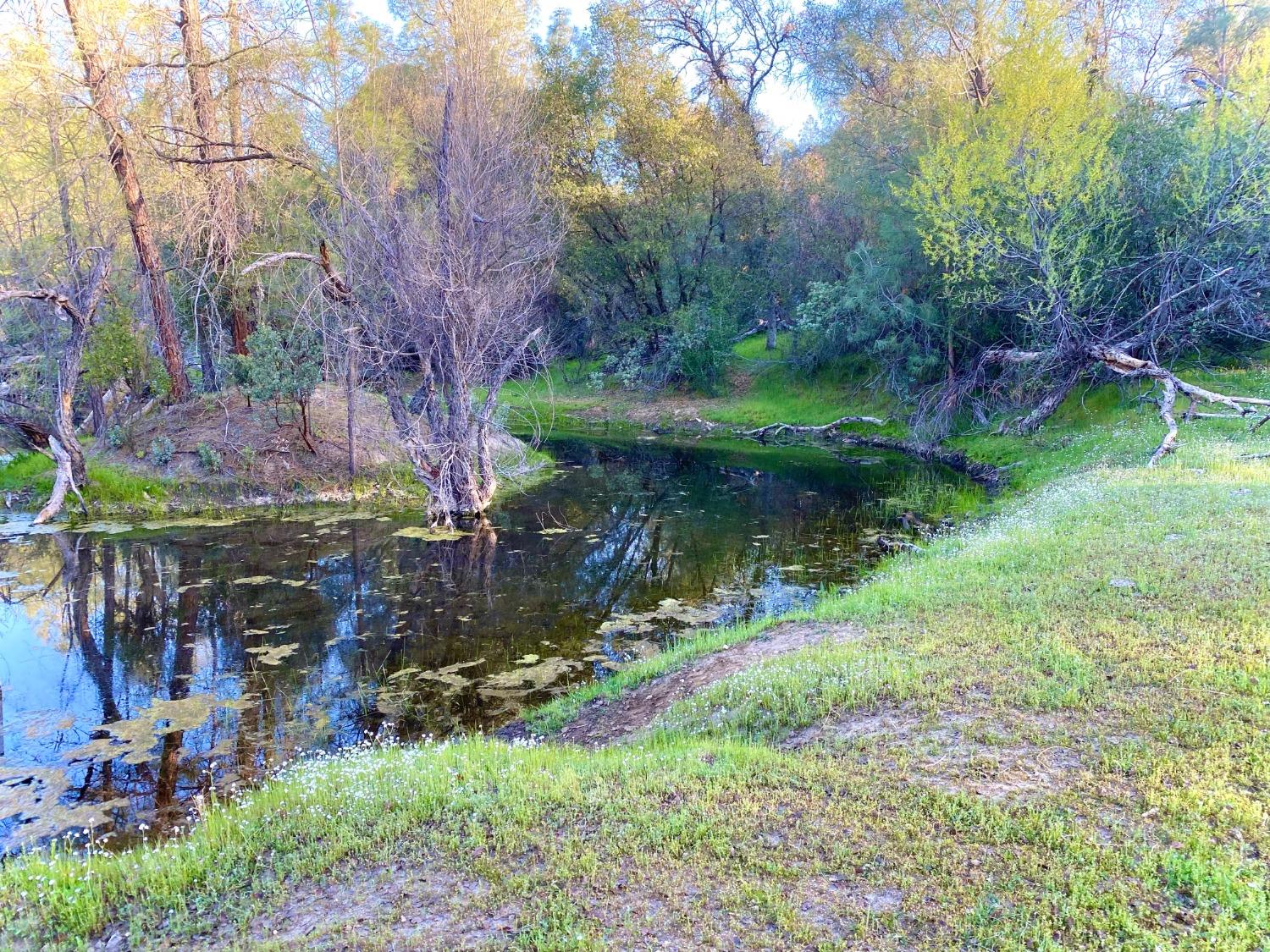 4352 Blade Creek Road Mariposa, CA 95338 - Photo 15 of 22 Gallery Image 15