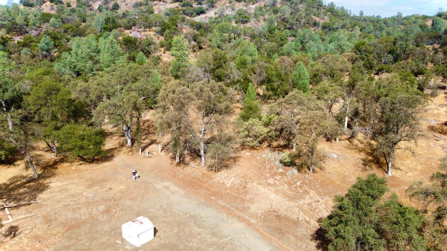 4352 Blade Creek Road Mariposa, CA 95338 - Photo 3 of 22 Gallery Image 3