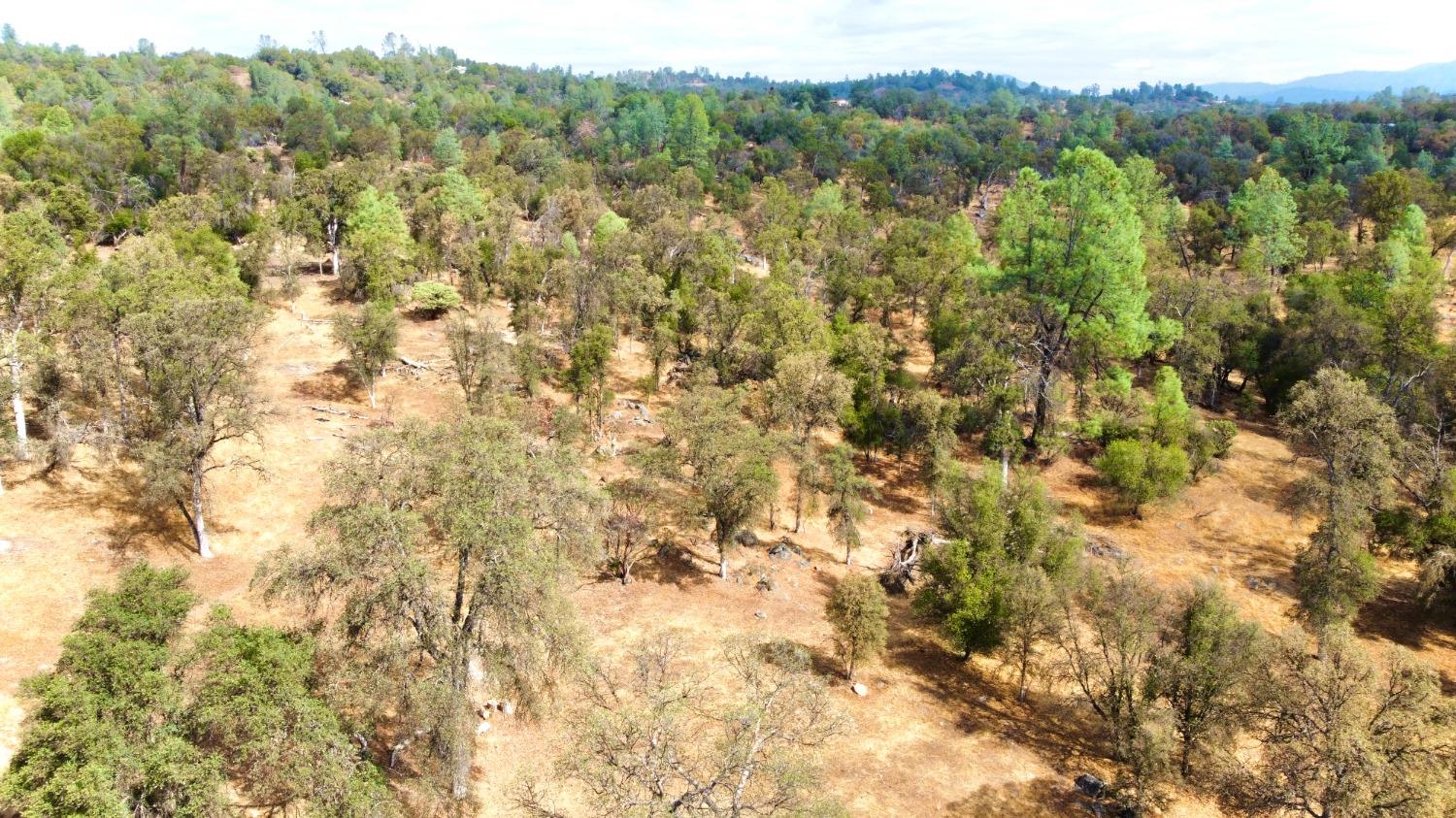 4352 Blade Creek Road Mariposa, CA 95338 - Photo 6 of 22 Gallery Image 6