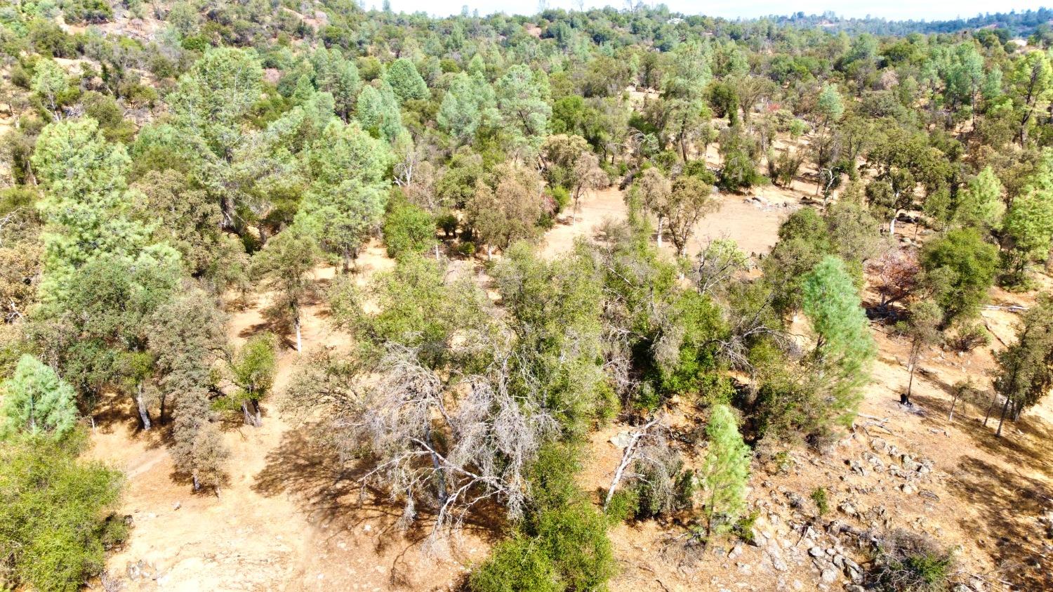 4352 Blade Creek Road Mariposa, CA 95338 - Photo 10 of 22 Gallery Image 10