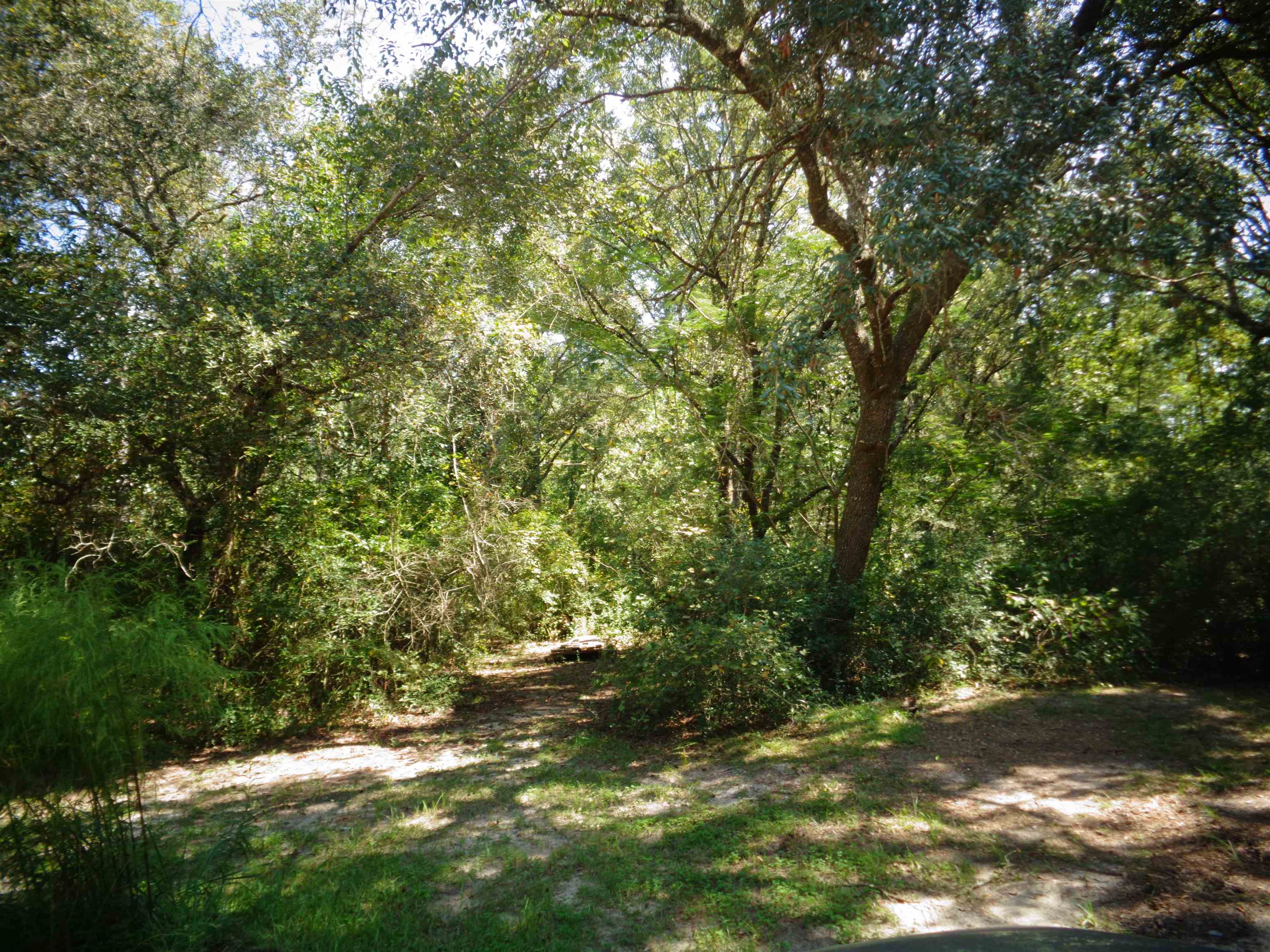 12052 Fernwood Drive Foley, AL 36535 - Photo 27 of 27