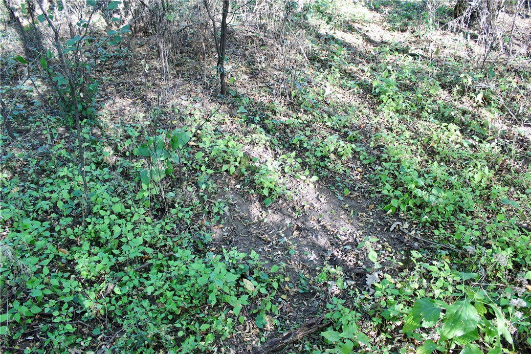 0 South Lowes Creek Road Eau Claire, WI 54701 - Photo 23 of 59