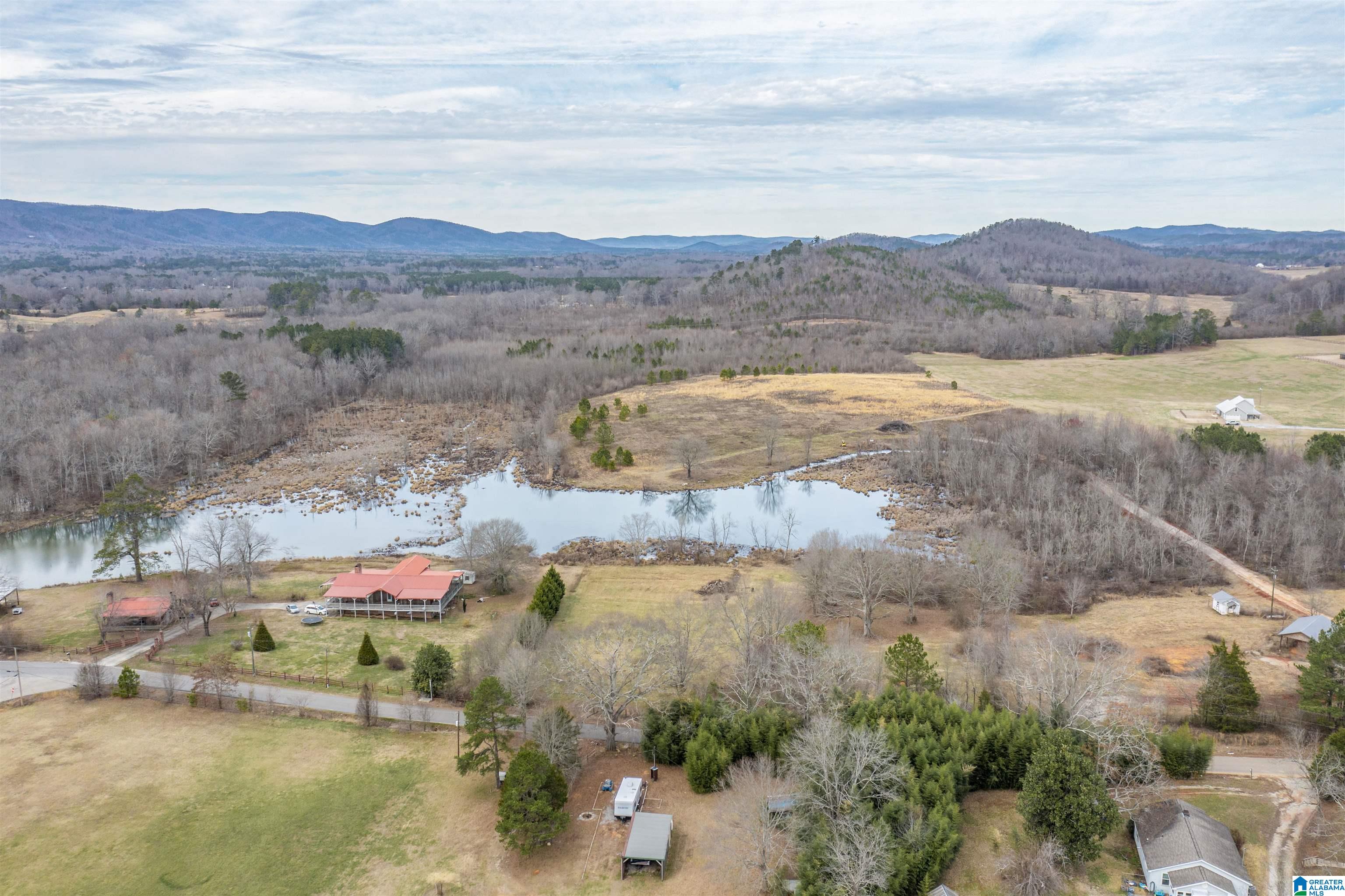 1619 Old Downing Ml Road, Unit 40 03 ACRES Anniston, AL 36207 - Photo 11 of 29