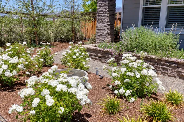 $8,000 | 704 Hunt Avenue, St. Helena, CA 94574