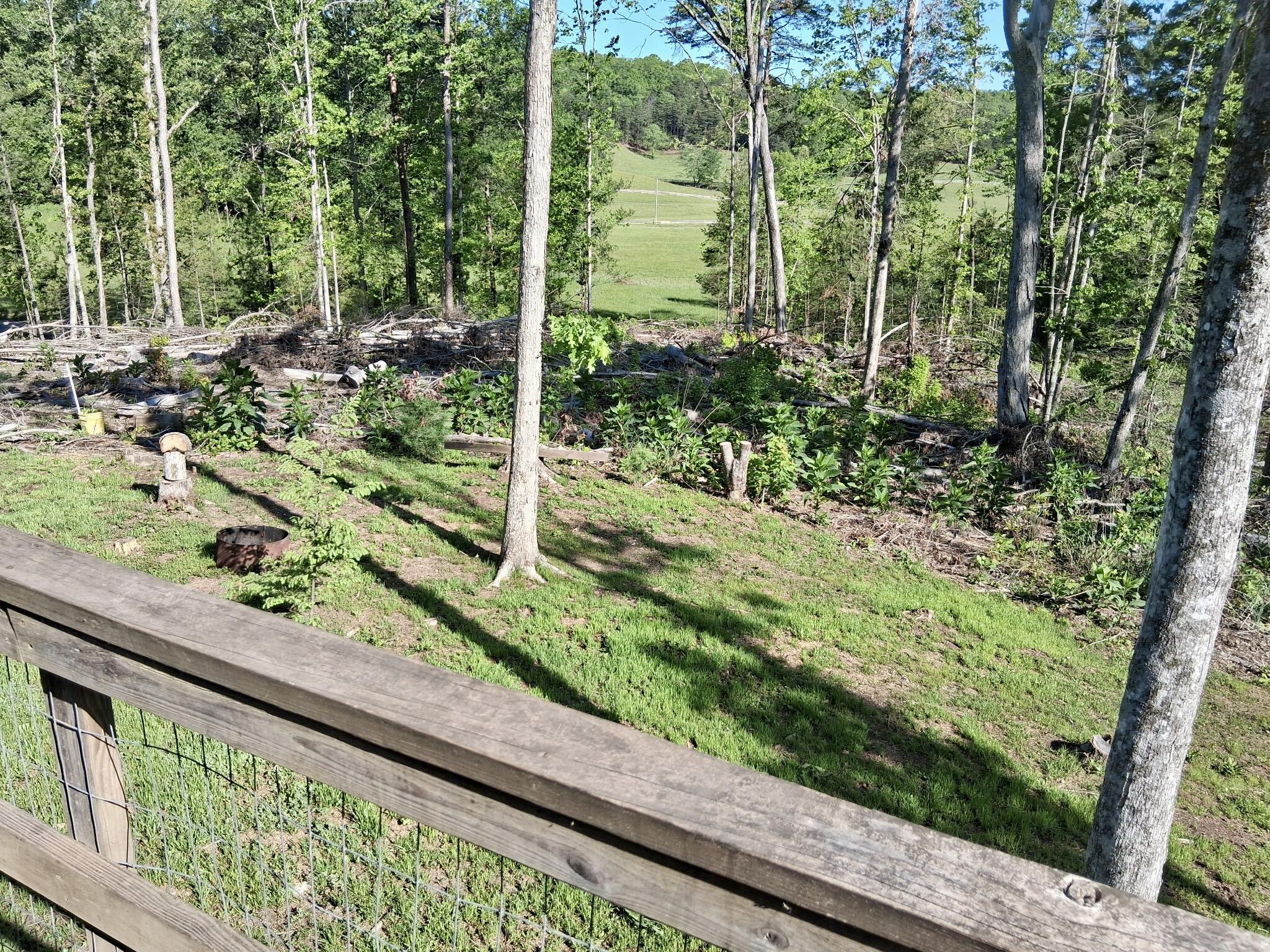 233 Fingerboard Road Tellico Plains, TN 37385 - Photo 14 of 18 1000002239