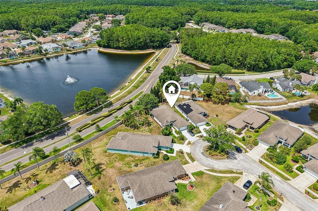 1129 Daleside Lane New Port Richey, FL 34655 - Photo 31 of 34