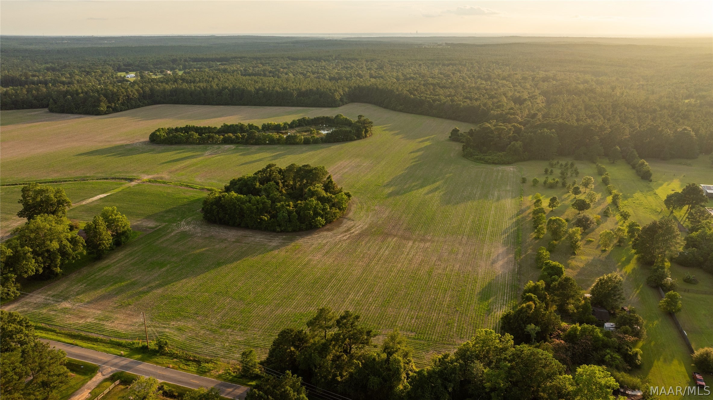 0 Pine Road South Stapleton, AL 36578 - Photo 32 of 53 Gallery Image 32