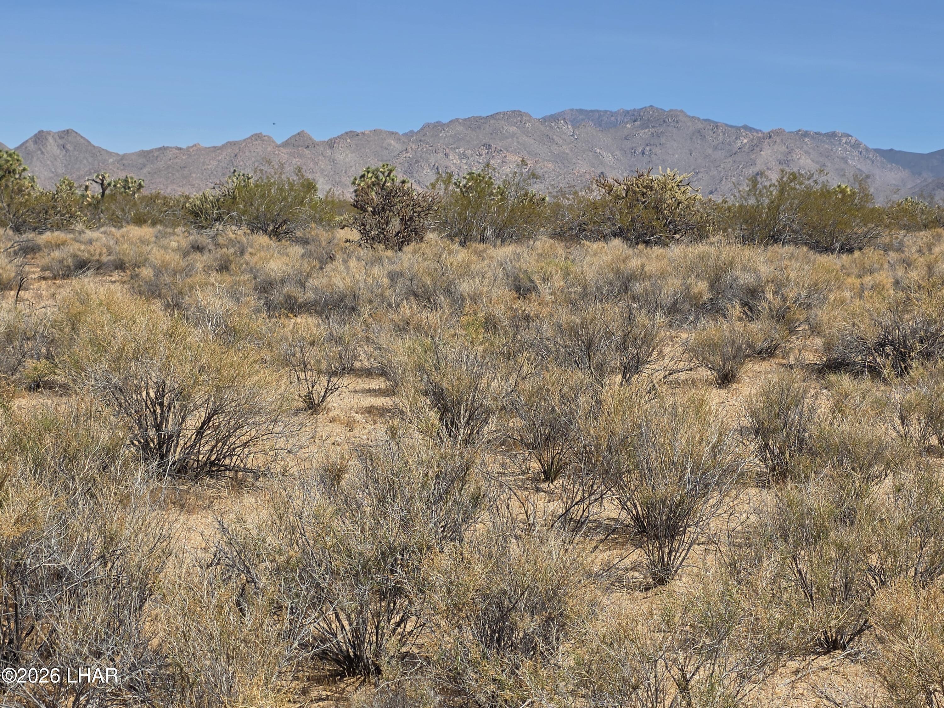 Lot 196 East Bush Road Yucca, AZ 86438 - Photo 3 of 7 20260407_111400