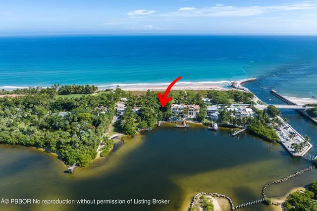 a front view of a house with a yard and a large tree
