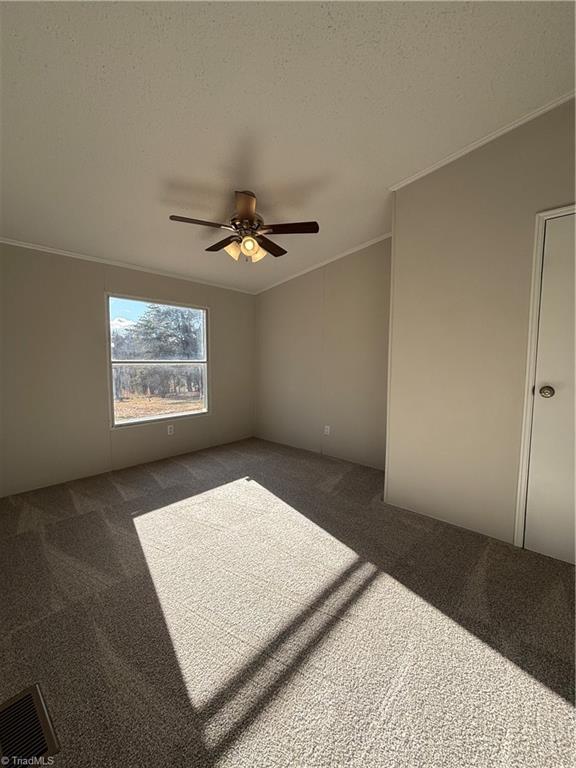 191 Owl Road Eden, NC 27288 - Photo 18 of 21